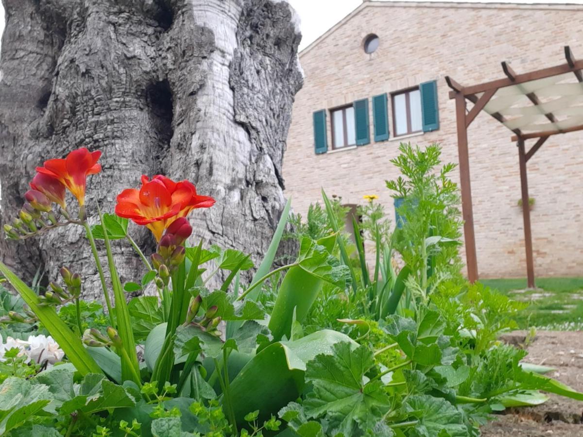 Casale Del Conero Aparthotel Porto Recanati Εξωτερικό φωτογραφία